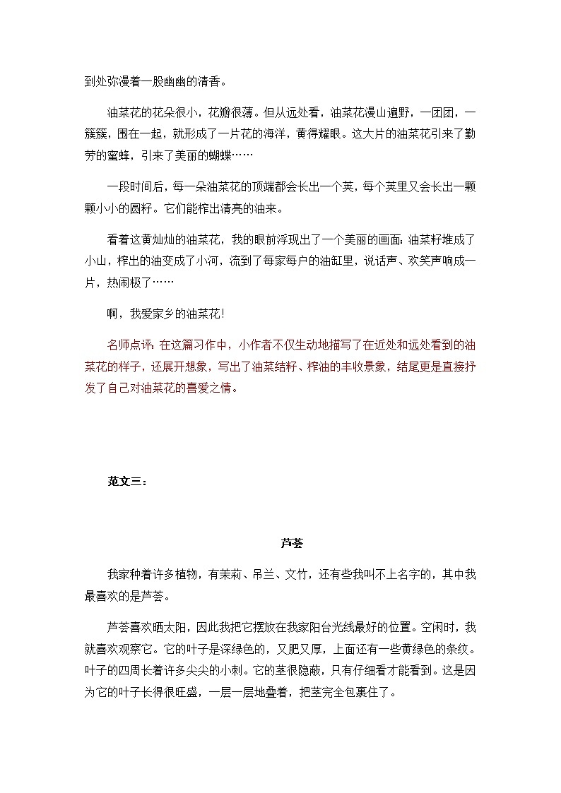 统编版三年级下册一单元习作“我的植物朋友”习作范文和名师点评（14篇）学案第2页