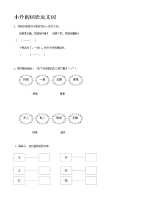 2022届小升初语文专题复习（12）词语反义词（14页，Word版，含答案）