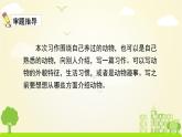 人教版语文四年级下册 第四单元习作4 PPT课件