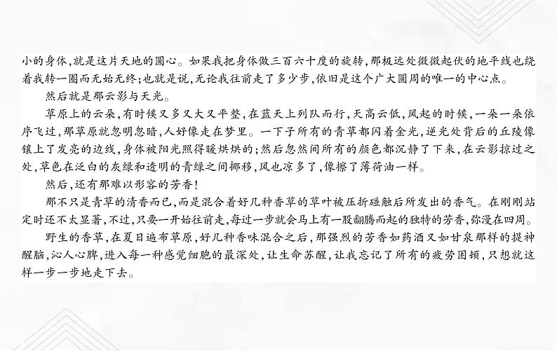 小升初语文复习 专题20  写景状物类文章阅读 练习课件第3页