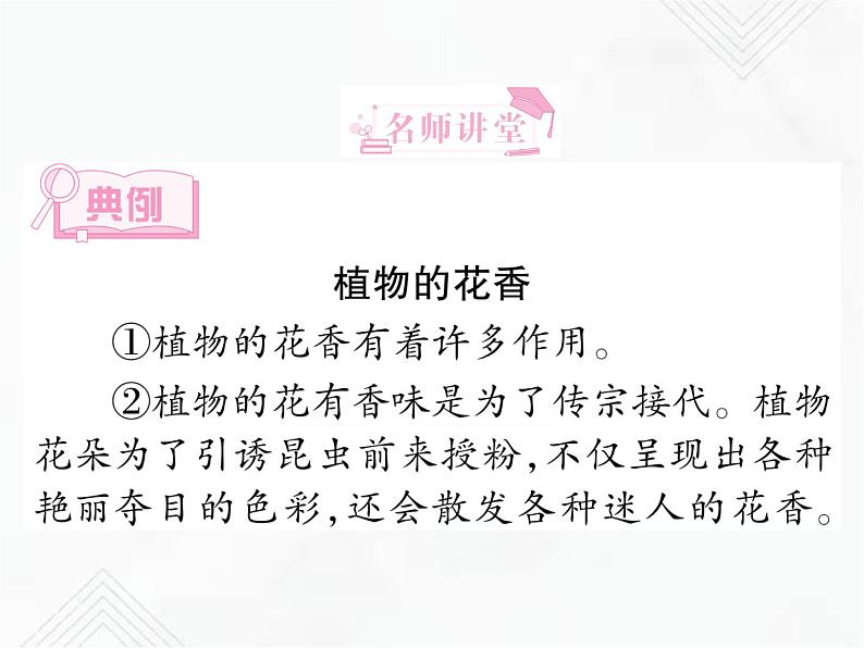 小升初语文复习 专题21  科普类文章阅读 授课课件第4页