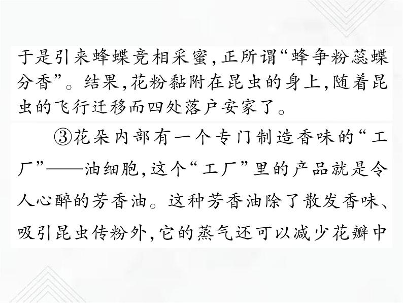 小升初语文复习 专题21  科普类文章阅读 授课课件第5页