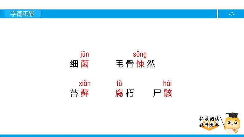 四年级【专项训练】课外阅读：一封从南极来的信（上）课件PPT07