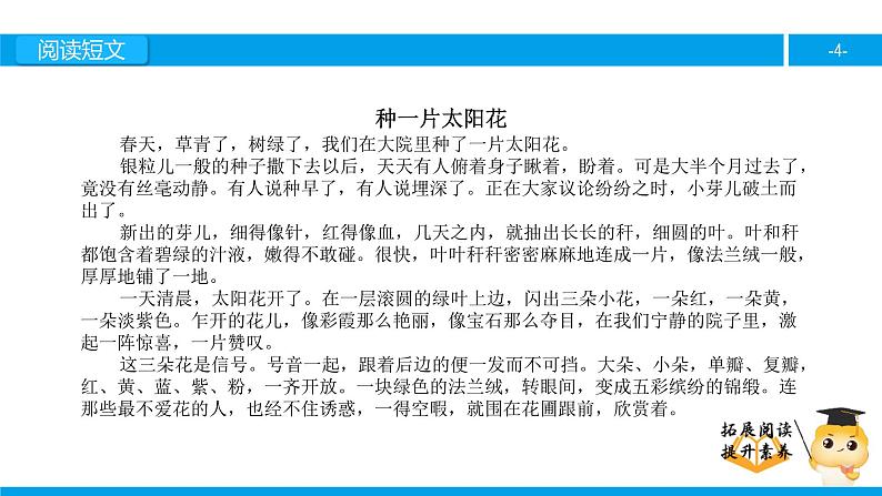 四年级【专项训练】课外阅读：种一片太阳花（上）课件PPT04