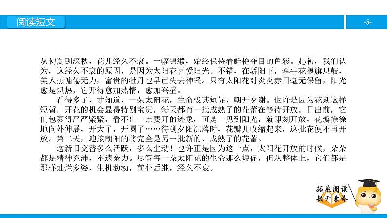 四年级【专项训练】课外阅读：种一片太阳花（上）课件PPT05