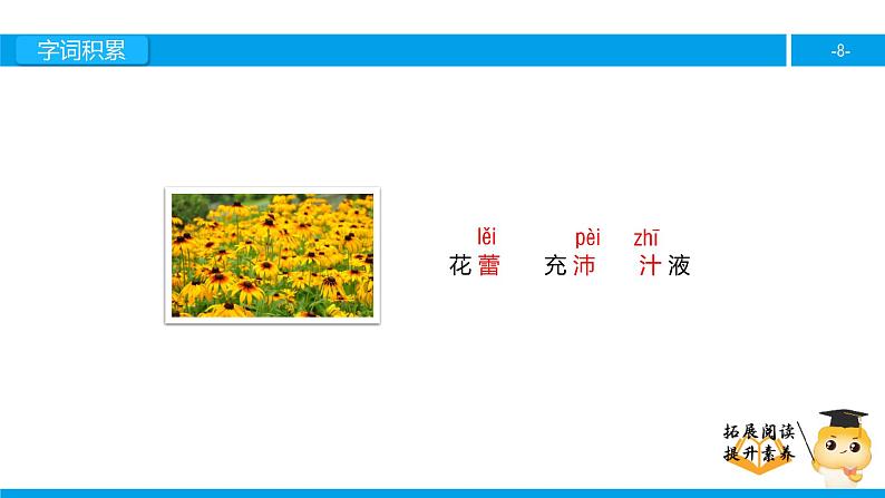 四年级【专项训练】课外阅读：种一片太阳花（上）课件PPT08