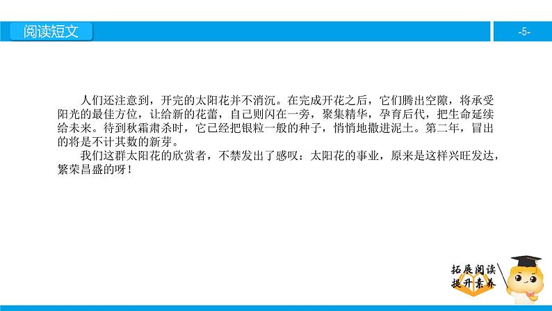 四年级【专项训练】课外阅读：种一片太阳花（下）课件PPT05