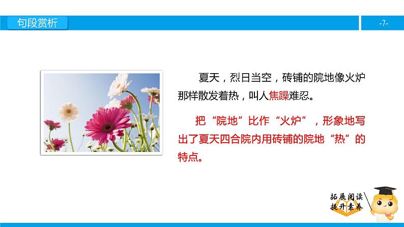 四年级【专项训练】课外阅读：种一片太阳花（下）课件PPT07