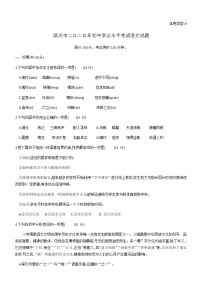 025-山东省滨州市2020年初中学业水平考试语文试题