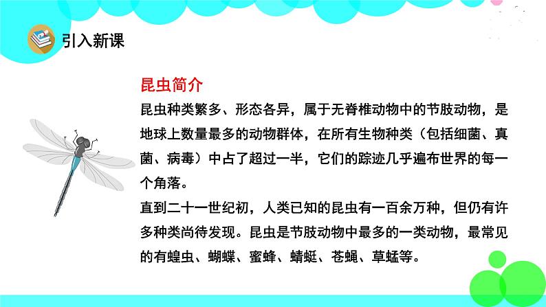 人教版语文二年级下册 15 我是一只小虫子 PPT课件第3页