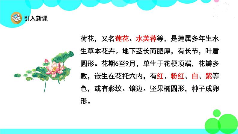 人教版语文三年级下册 3 荷花 PPT课件第4页