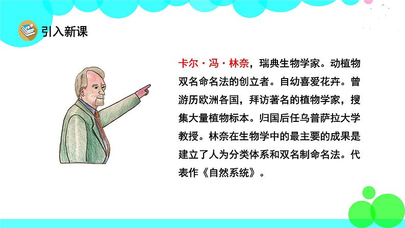 人教版语文三年级下册 13 花钟 PPT课件第3页