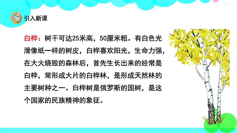 人教版语文四年级下册 11 白桦 PPT课件第4页
