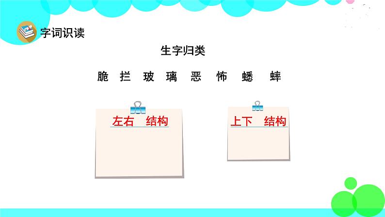 人教版语文六年级下册 16 表里的生物 PPT课件第5页