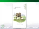五年级【语文(统编版)】慈母情深（第一课时）-课件