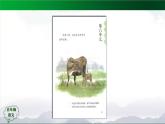 五年级【语文(统编版)】习作《我想对您说》（第一课时）-课件