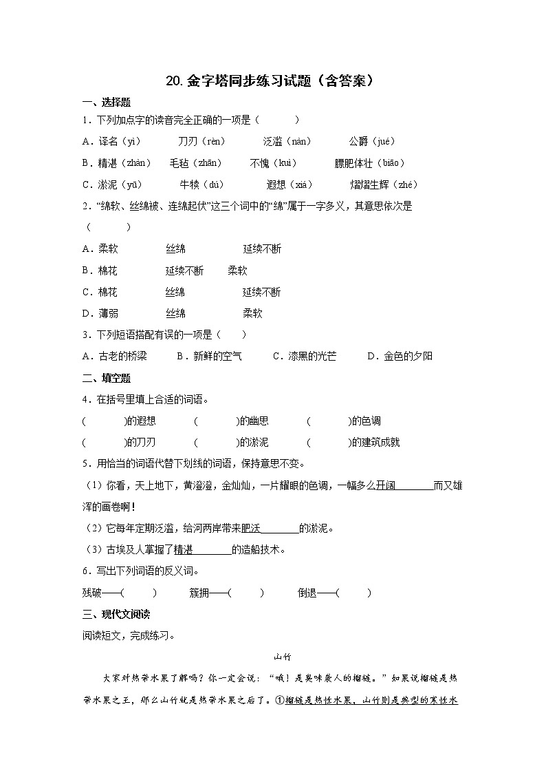 20.金字塔同步练习试题第1页