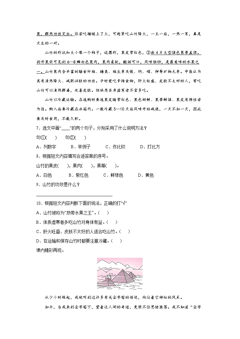 20.金字塔同步练习试题第2页