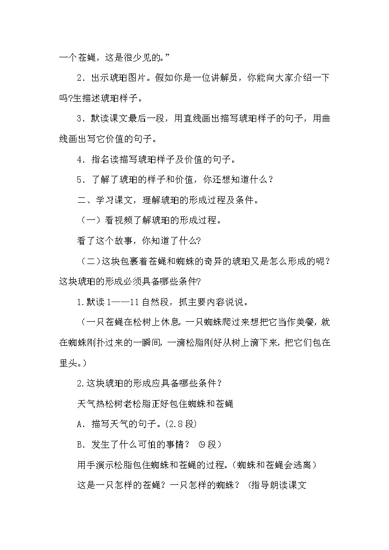 部编版四下-5.琥珀【优质教案】第2页