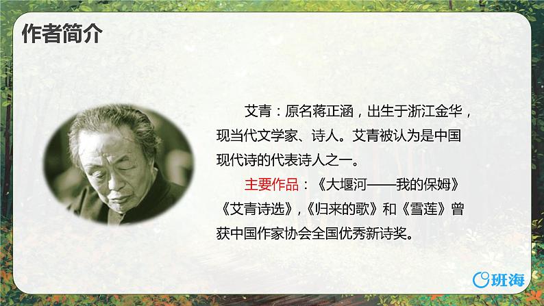 10.绿  课件+教案05