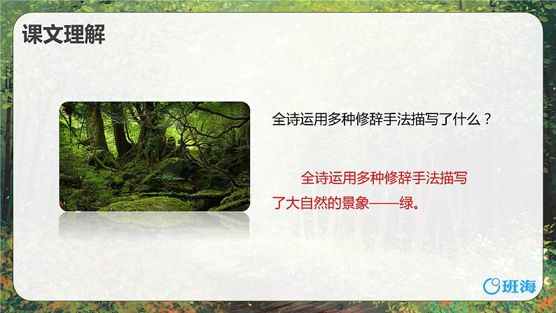 10.绿  课件+教案06
