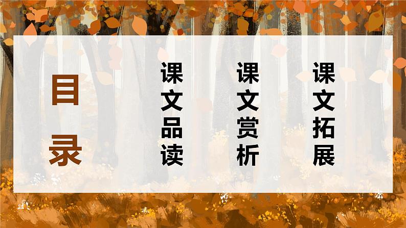 11.白桦  课件+教案02