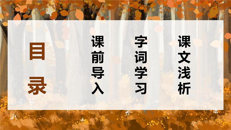 11.白桦  课件+教案02