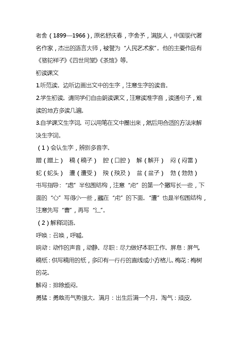 13.猫  课件+教案02