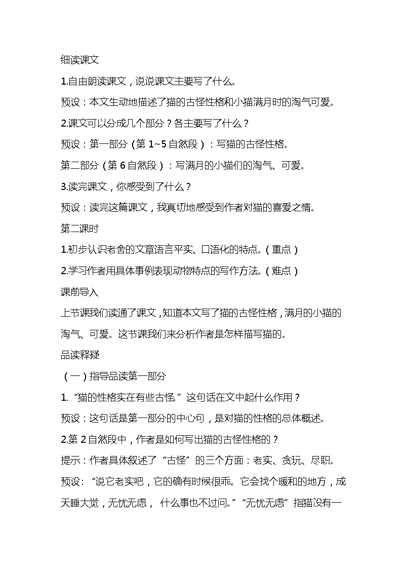 13.猫  课件+教案03