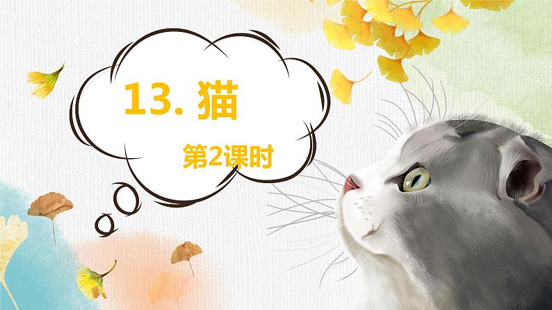 13.猫  课件+教案01