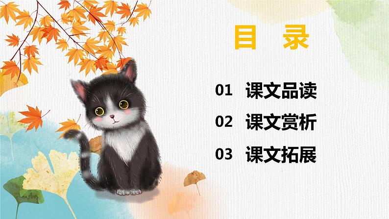 13.猫  课件+教案02