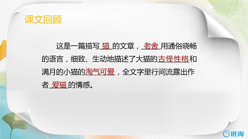 13.猫  课件+教案04