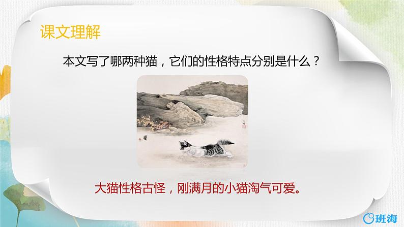 13.猫  课件+教案05