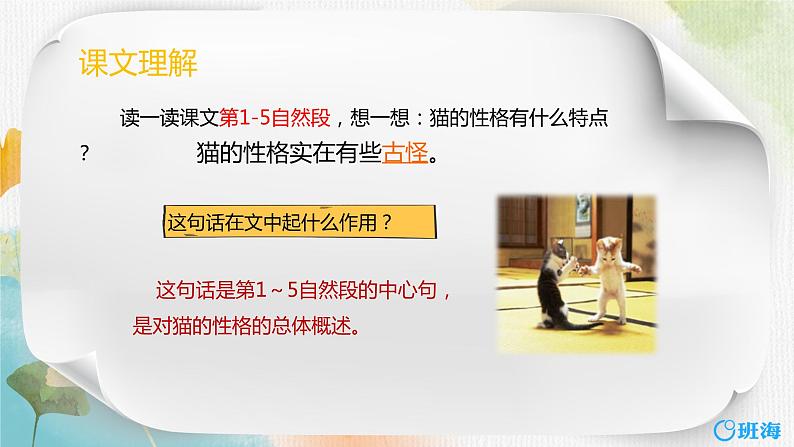 13.猫  课件+教案06