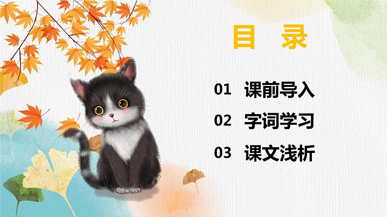 13.猫  课件+教案02