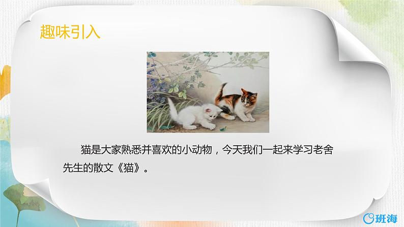 13.猫  课件+教案04