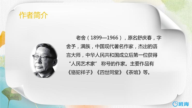 13.猫  课件+教案05