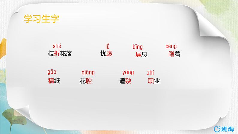 13.猫  课件+教案08