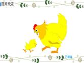 14.母鸡  课件+教案
