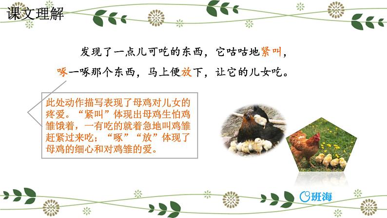 14.母鸡  课件+教案08