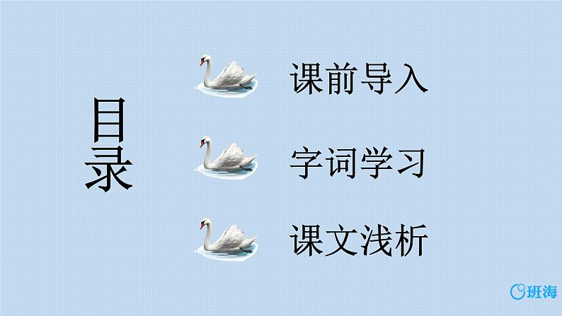15.白鹅  课件+教案02