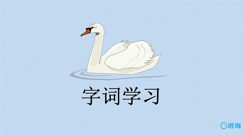 15.白鹅  课件+教案07