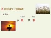 3、《秋晚的江上》四年级上册语文　课件