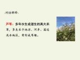 3、《秋晚的江上》四年级上册语文　课件