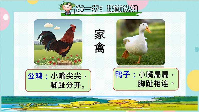 5《小公鸡和小鸭子》课件+教案+素材+练习02