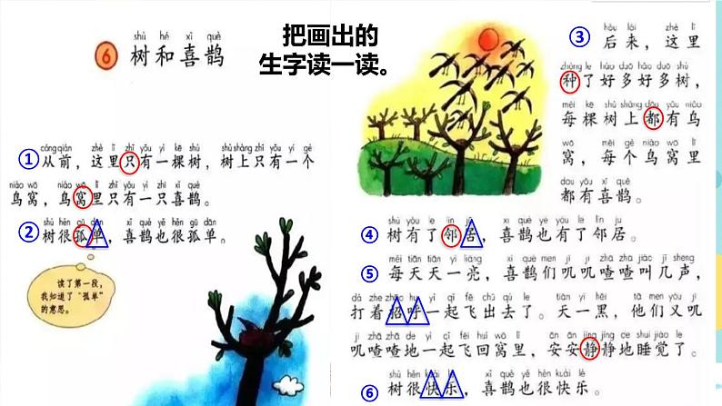 6《树和喜鹊》课件+教案+素材+练习03