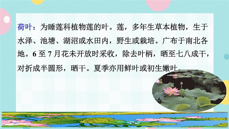 13.荷叶圆圆课前预习课件第3页
