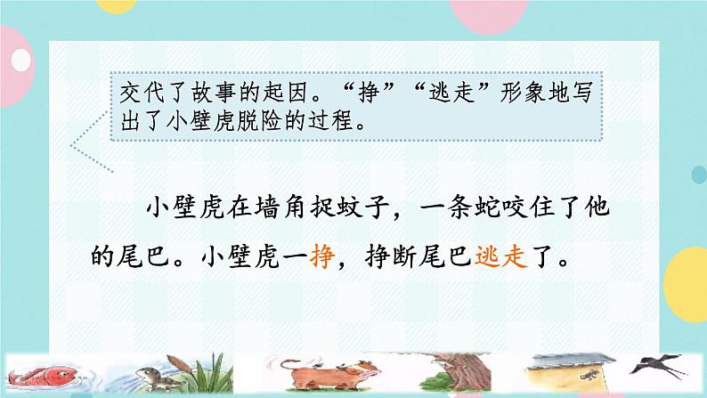 21《小壁虎借尾巴》课件+教案+素材06