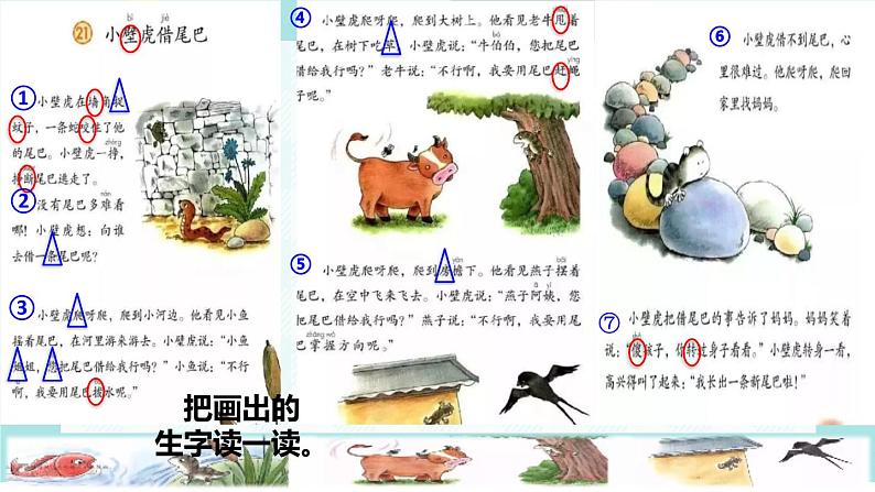 21《小壁虎借尾巴》课件+教案+素材03