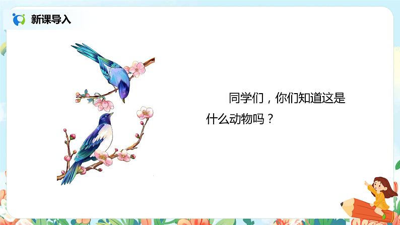 9.枫树上的喜鹊（第1课时）课件（送教案+同步练习）02